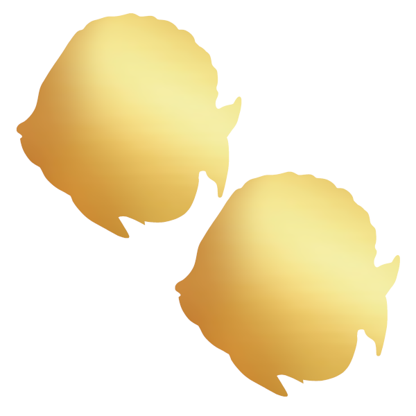 Metallic Gold Sunfish