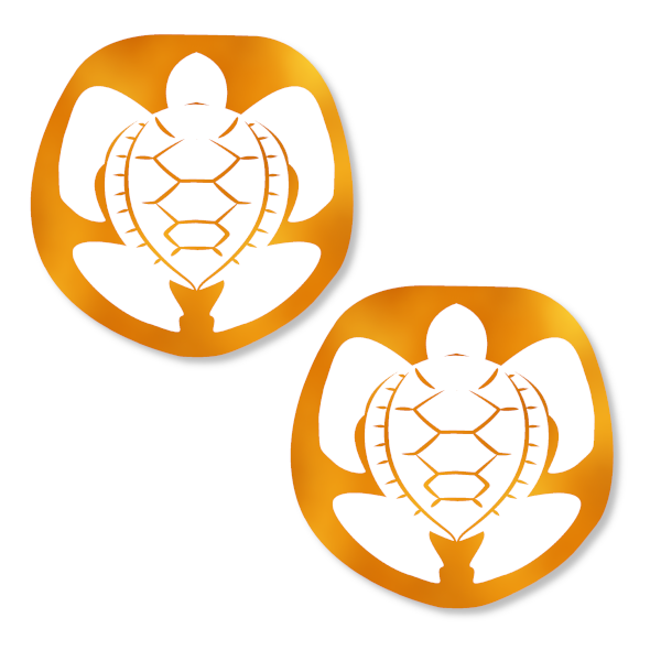 thumnail-orange-turtle.png