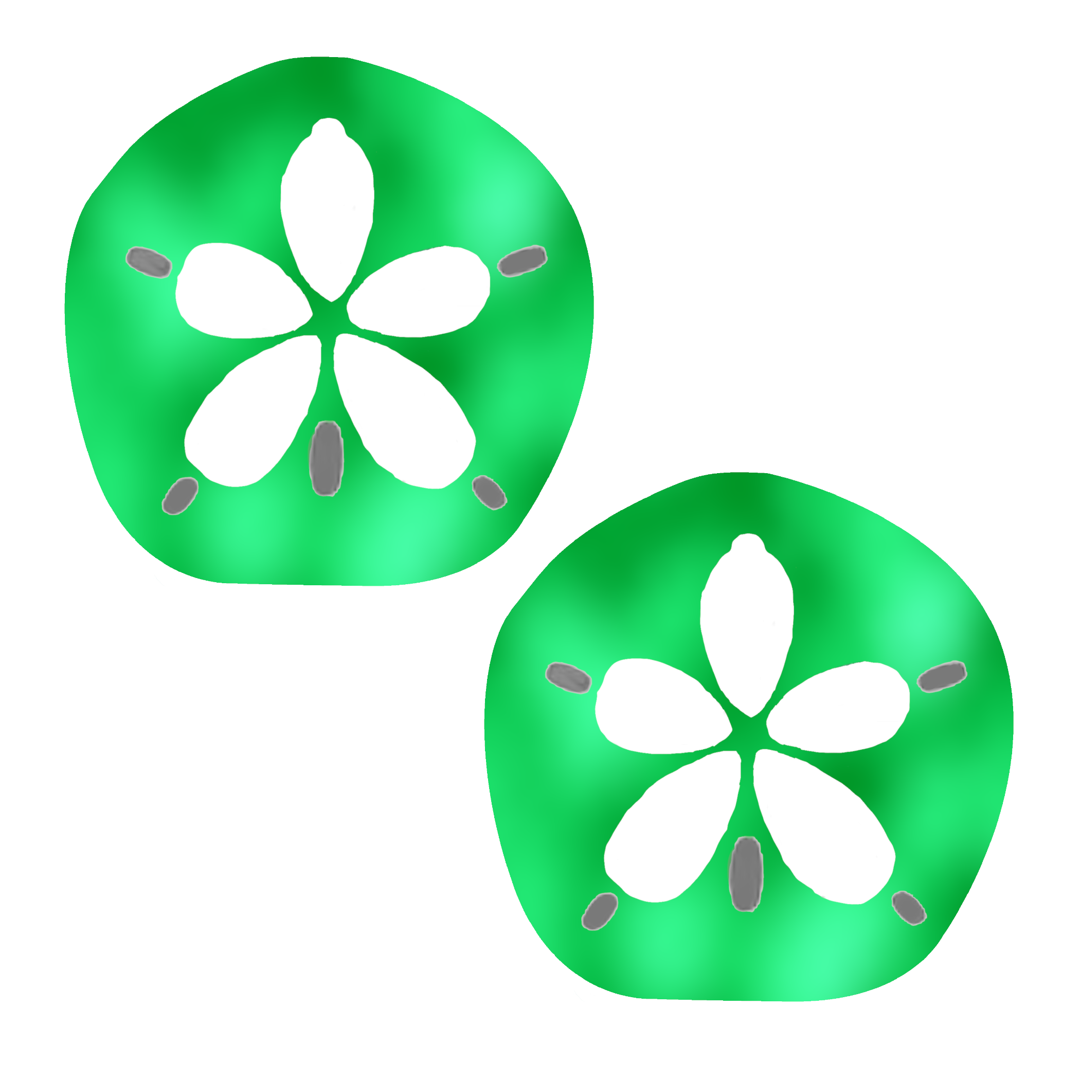 sanddollar-green-up.png