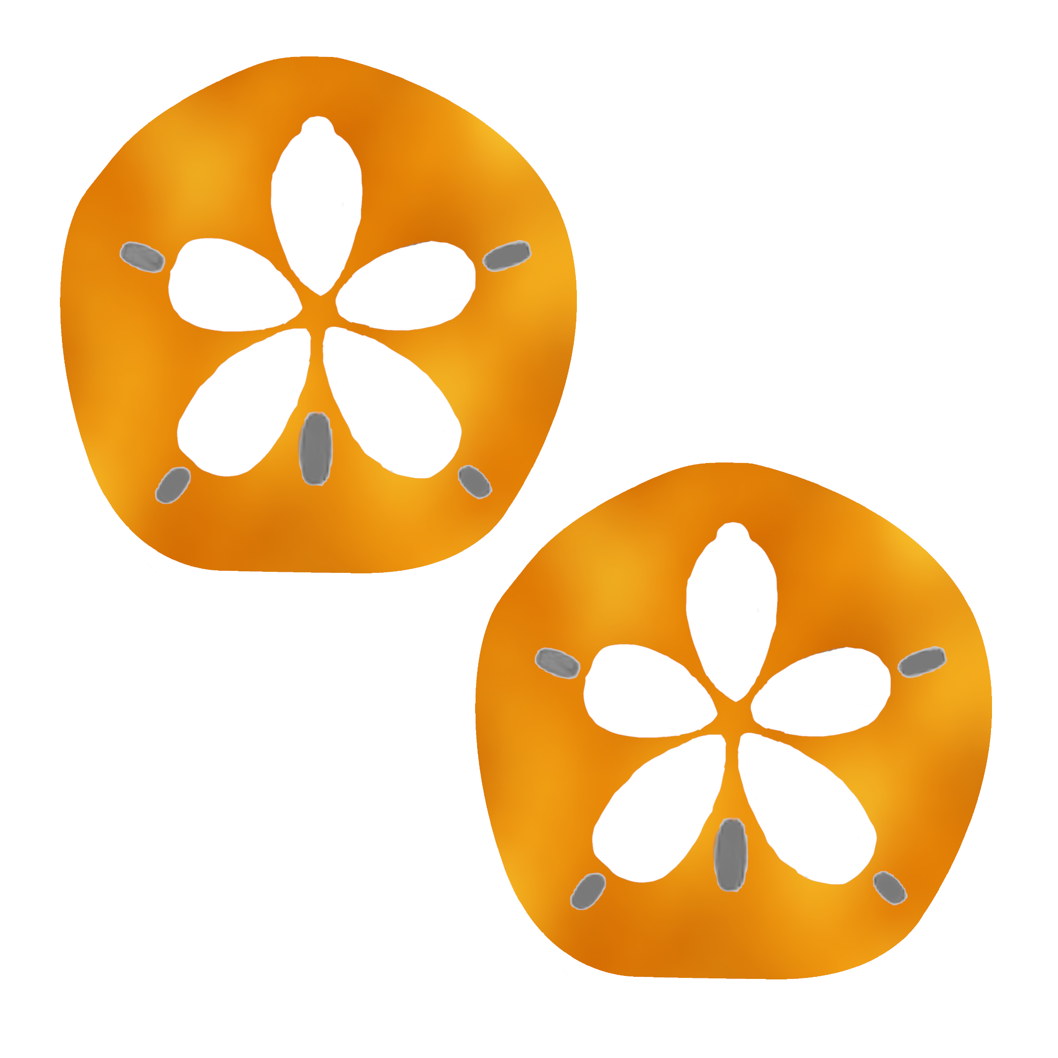 sanddollar-orange.png